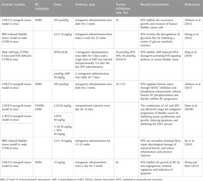 Sulforaphane and bladder cancer: a potential novel antitumor compound